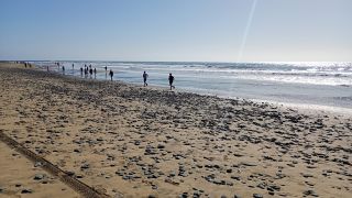 GC-Playa de Maspalomas 2026-102.jpg